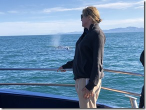 (C) 2018 Greenpeace New Zealand - Lucy Lawless watching Whales in the Great Australian Bite