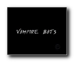 gal/Screencaptures/Vampire_Bats_Movie/_thb_lucy-vb0001.jpg